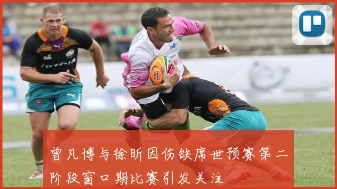 曾凡博与徐昕因伤缺席世预赛第二阶段窗口期比赛引发关注